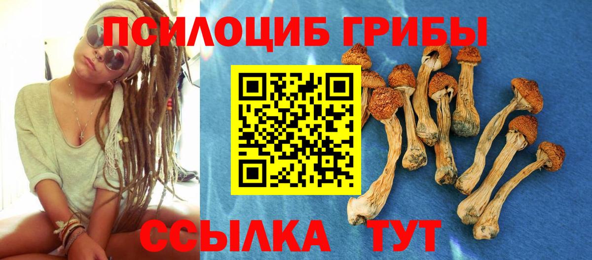 Галлюциногенные грибы Cubensis  Галлюциногенные грибы Cubensis  Вход с VPN  Ливны 
