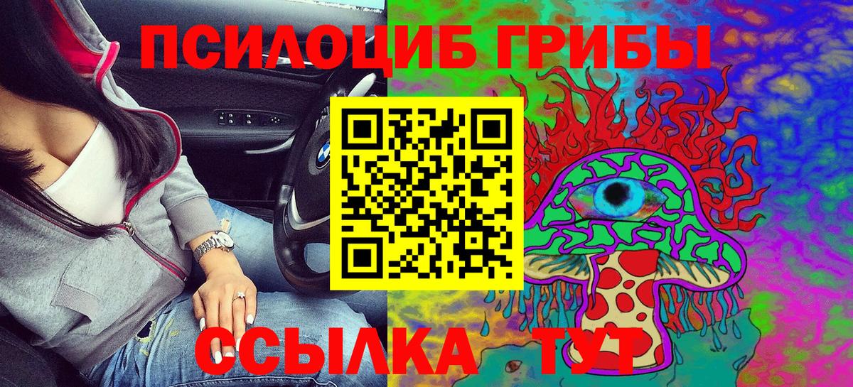 Псилоцибиновые грибы Psilocybine cubensis Ливны